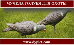 Опудала голуба для полювання є обов'язковим елементом в спорядженні мисливця, який планує відправитися на полювання на голубів